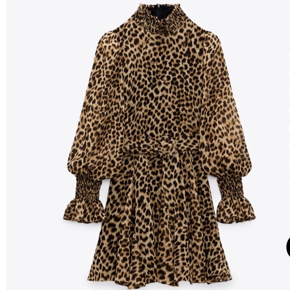 Zara Dresses & Skirts - ZARA leopard mini dress